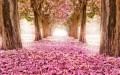 Pink Floral Path Trees Landscape Painting from Photos to Art